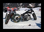 Harley & Snow 2013 (186)